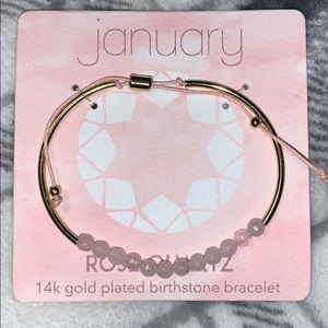 NWOT 14k Gold plated January birthstone bracelet
